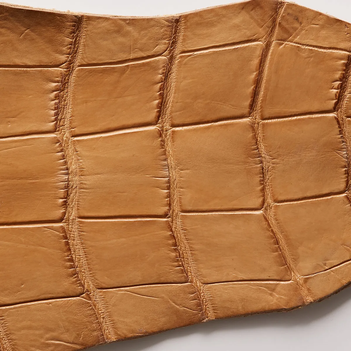 David August Custom Genuine Crocodile Dopp Kit