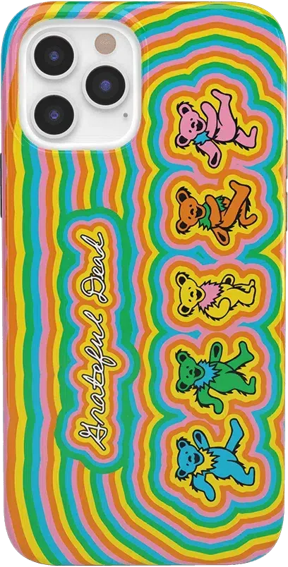 In the Groove | Grateful Dead Dancing Bears Case