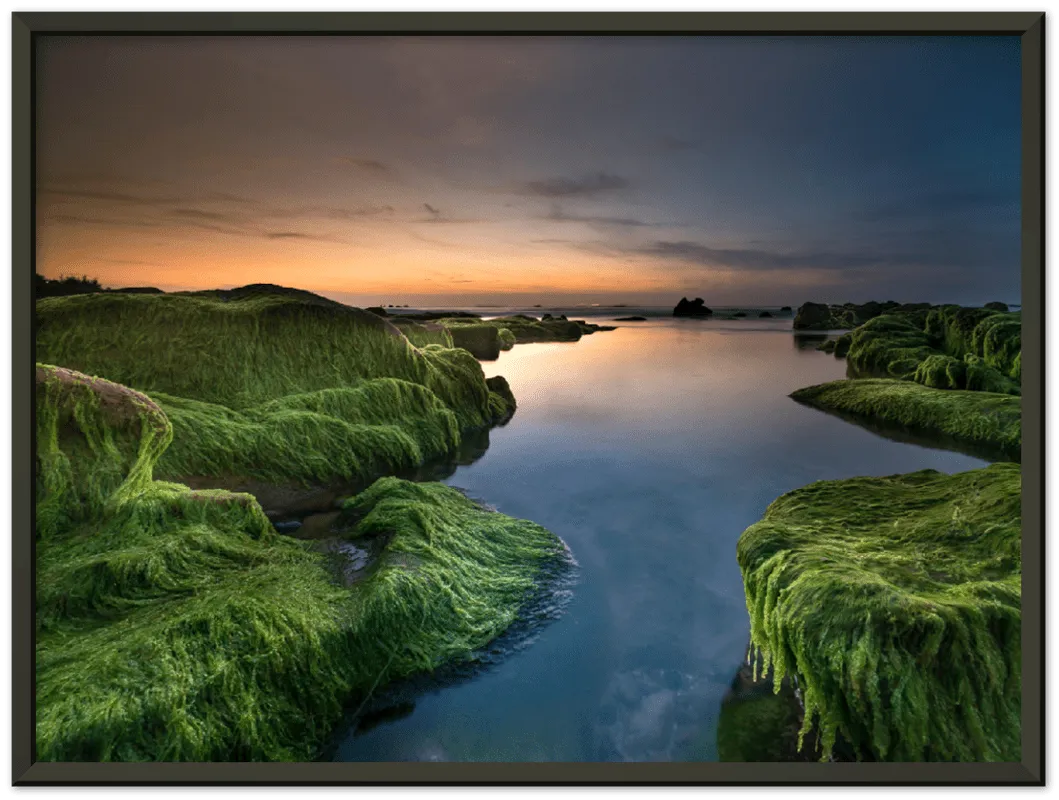 Mossy Beach - Print