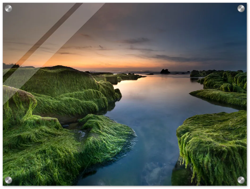 Mossy Beach - Print