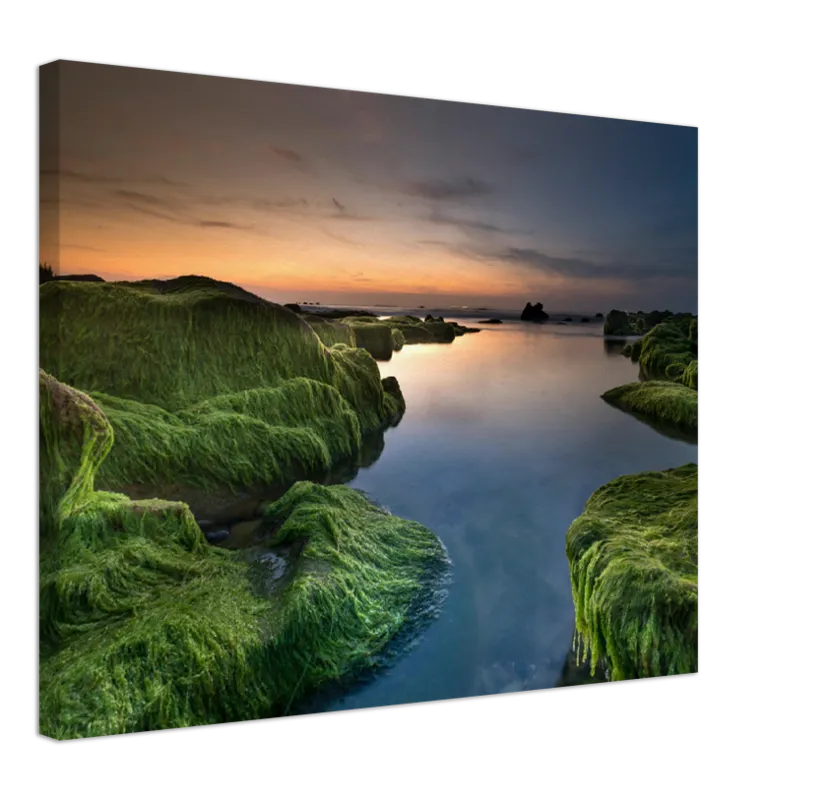 Mossy Beach - Print
