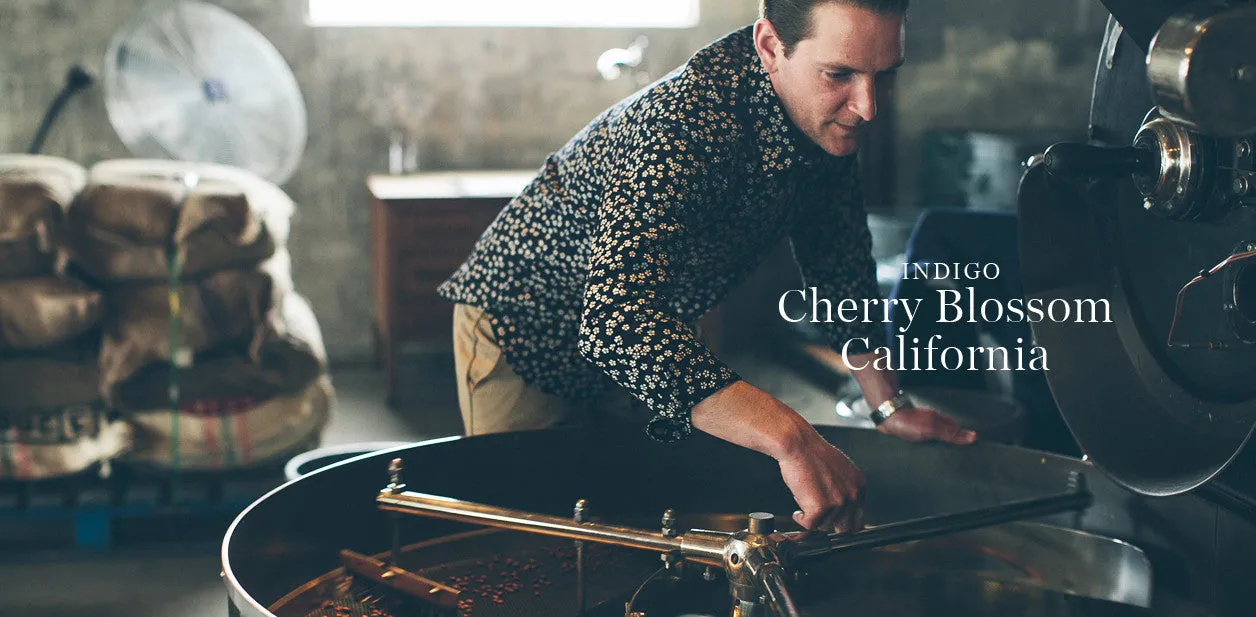 The California in Indigo Cherry Blossom