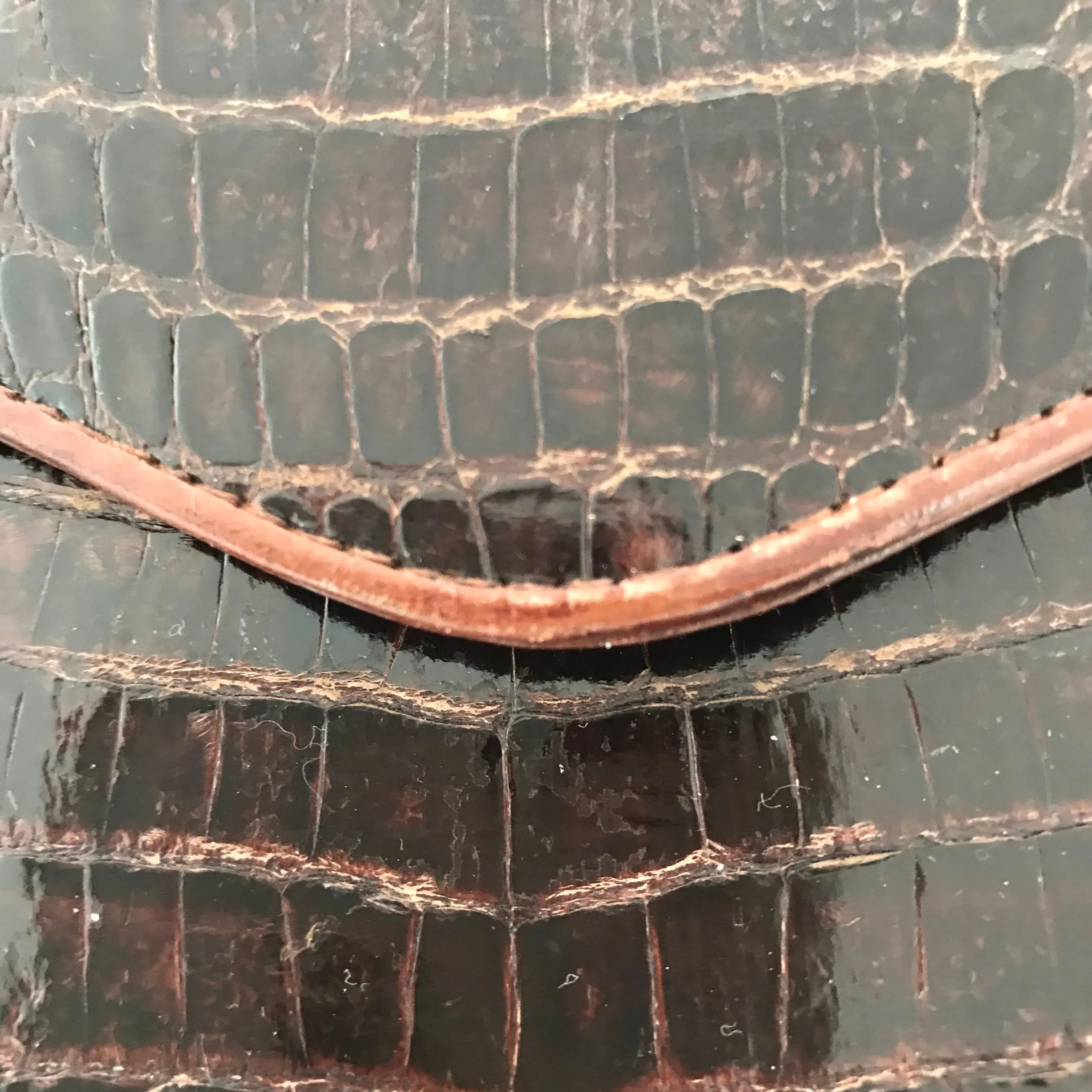 Vintage Crocodile Bag